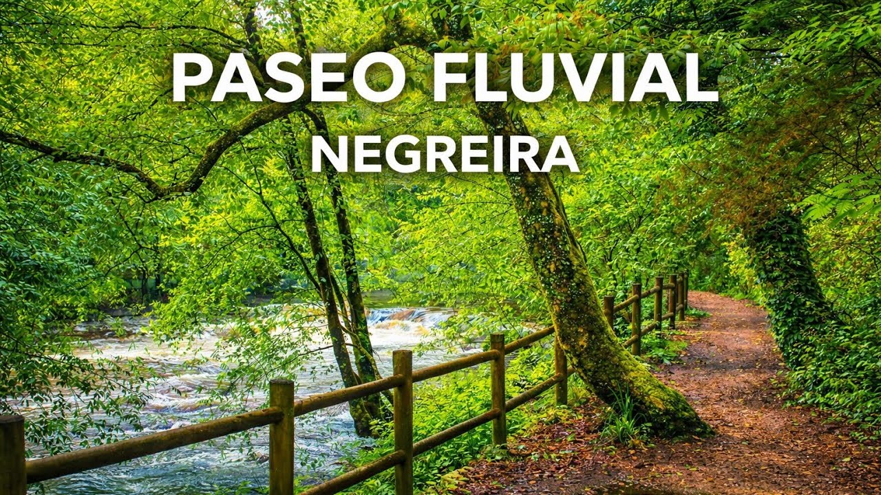 Paseo Fluvial Río Barcala en Negreira | Naturaleza en su Estado Puro