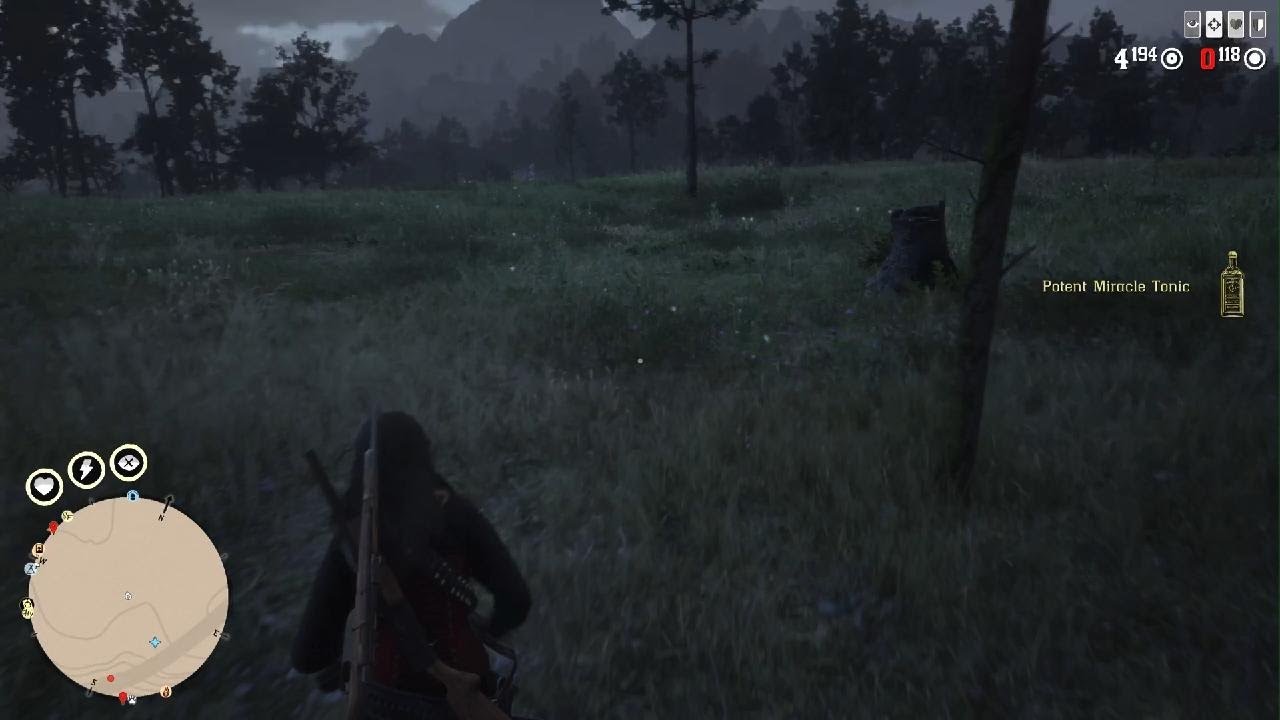 Red Dead Redemption 2_20260226124414