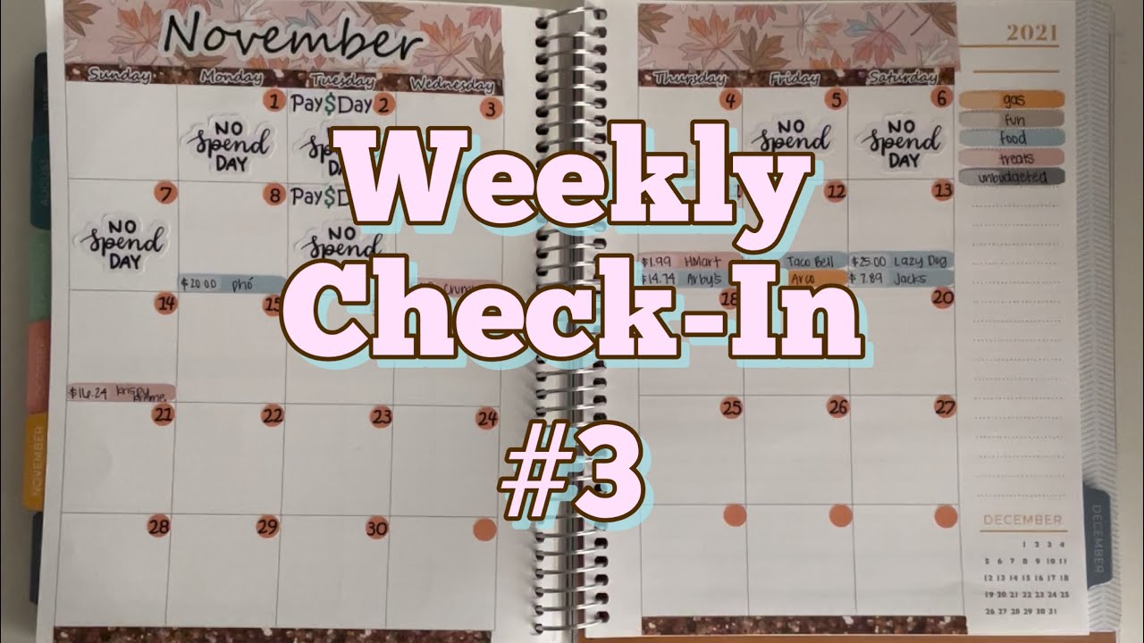 November Weekly Check-In #3 | Expense Tracking | Real Numbers