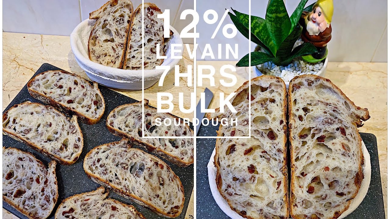 Pecans & Cranberry Sourdough Good Oven Spring Beautiful Ear 胡桃酸果蔓欧包 兔耳大气孔