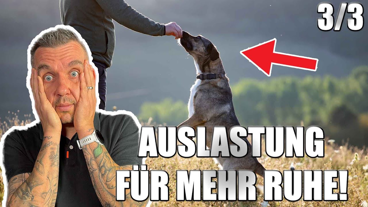 Auslastung ist nicht gleich Auslastung! | STRESSMANAGEMENT 3/3