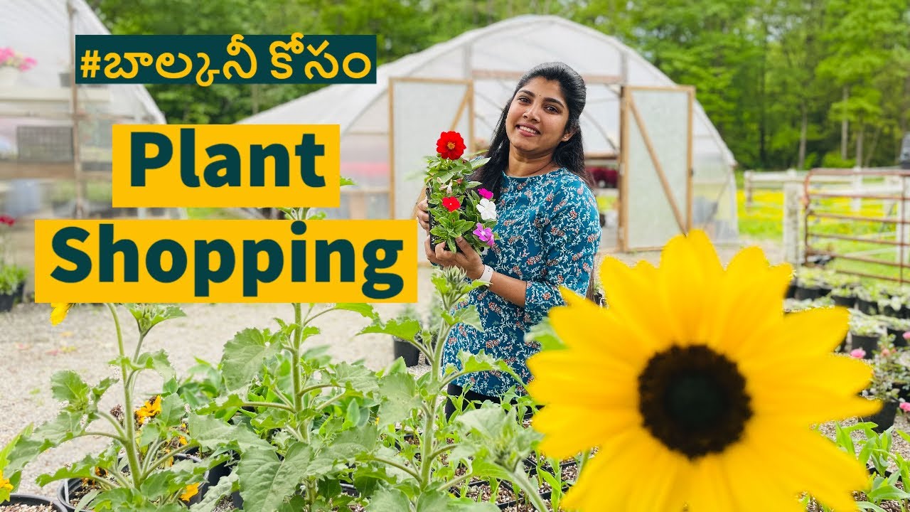 నేను Surprise అయిన నర్సరీ 🌴 | Telugu Vlogs from USA | Journey of Mounika | Plant shopping