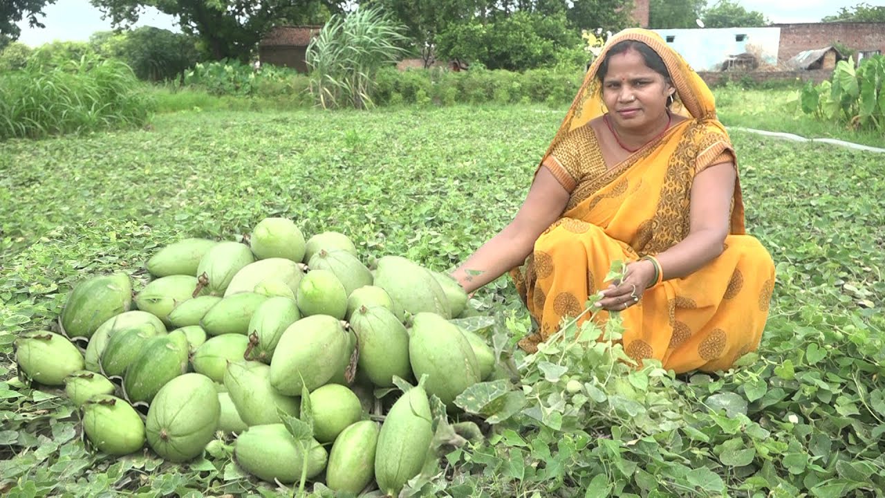 भात रोटी के साथ परवल आलू की सब्जी ऐसे बनायेंगे तो सब अंगूलियां चाट चाट कर  खायेंगें parwal ki sabzi