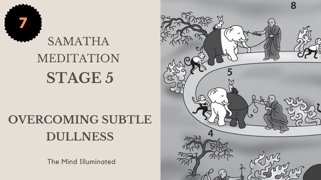 Stage-5 | Overcoming Subtle Dullness | Samatha Meditation | Mind Illuminated