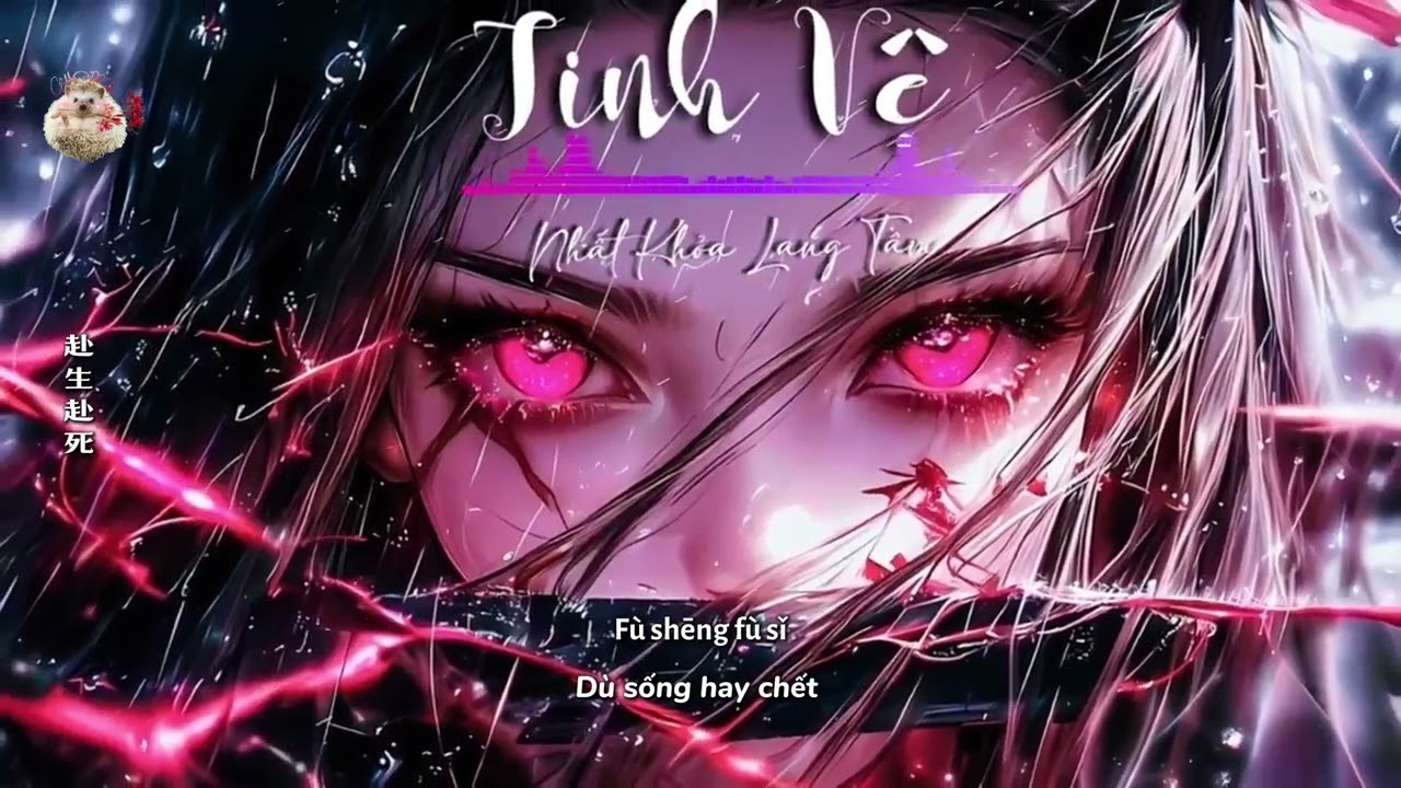 [Vietsub + Pinyin] Tinh Vệ Remix - Nhất Khỏa Lang Tinh__精卫 - 一颗狼星 DJMakara Mixsing