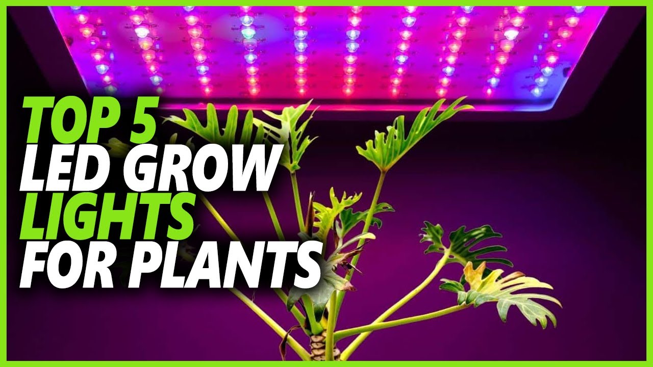 Best LED Grow Light For Plant In 2023 | Top 5 Best Led Lights For Growing Plants