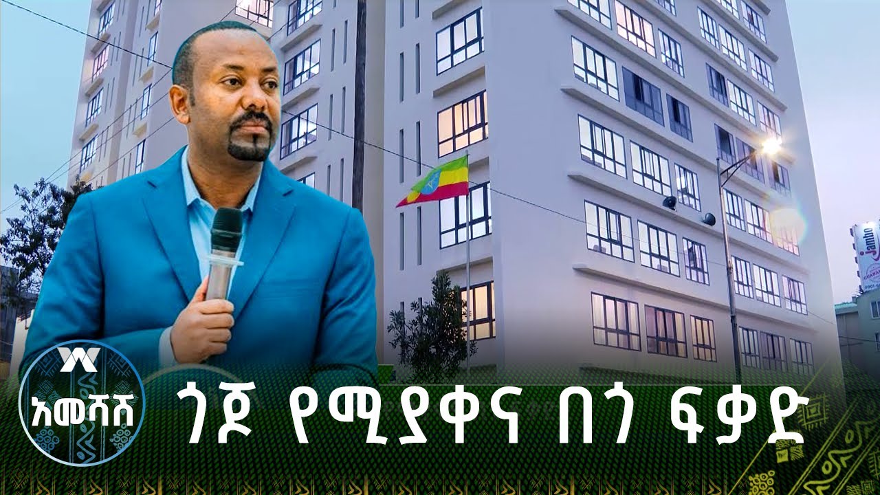 ጎጆ የሚያቀና በጎ ፍቃድ - አመሻሽ | Ameshash