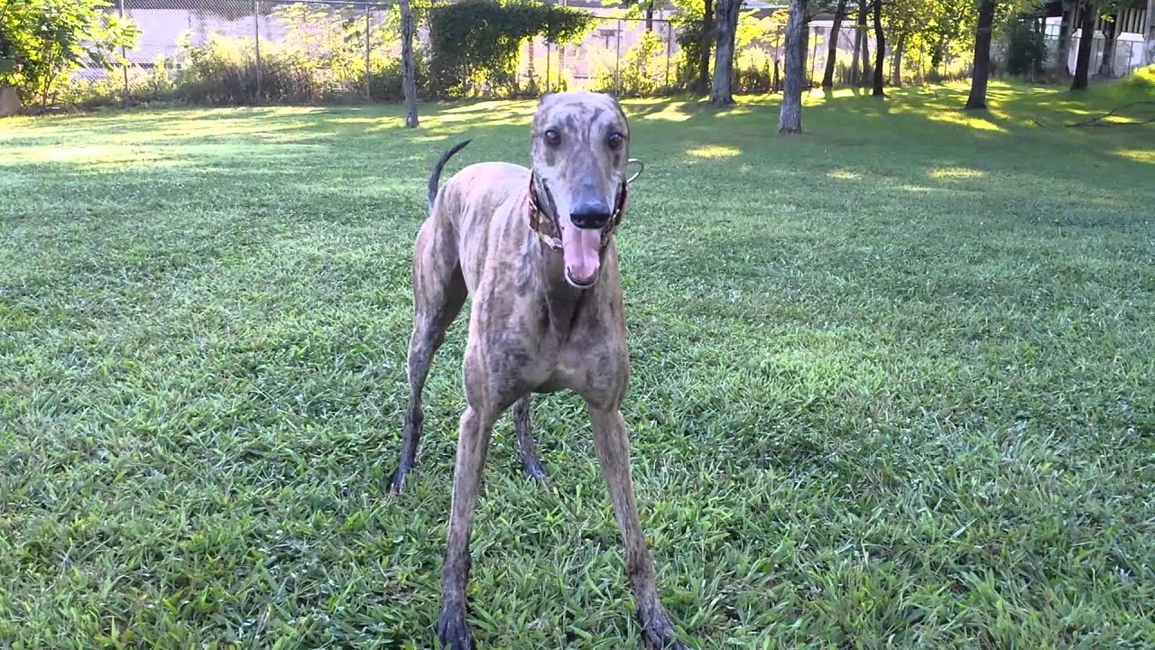 Mosley being his usual goof self.