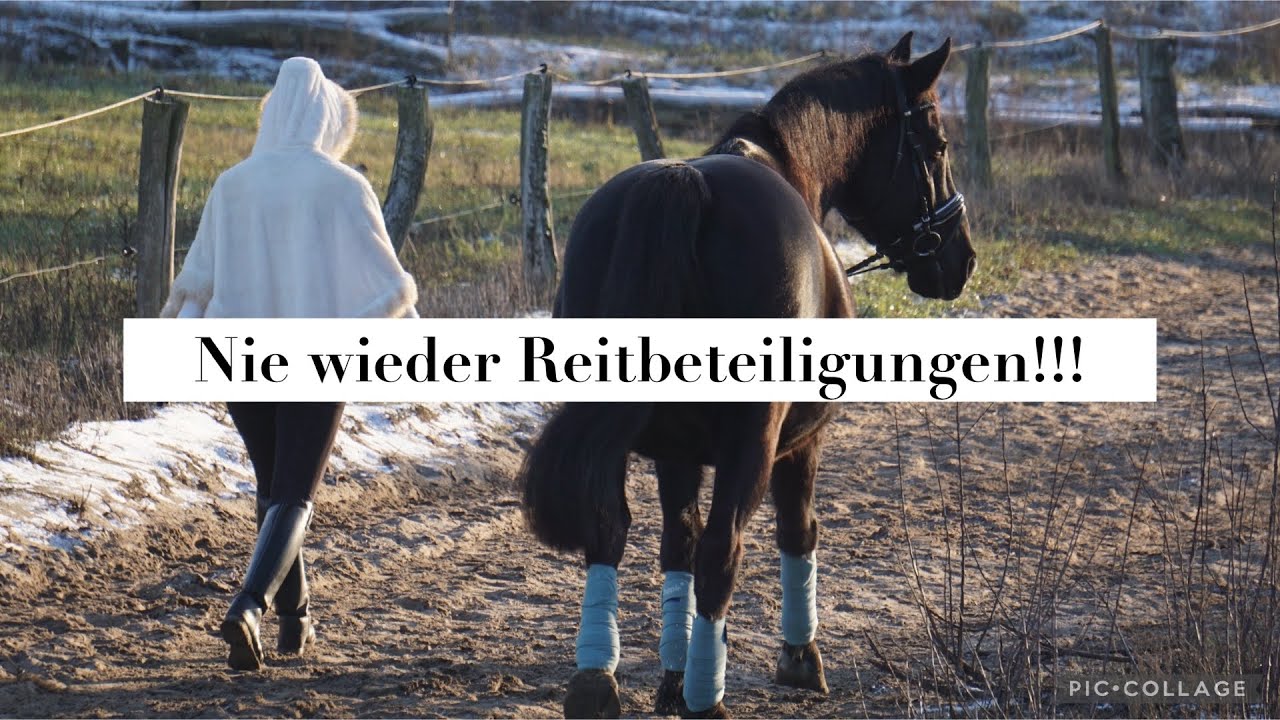 Nie wieder Reitbeteiligungen!!!