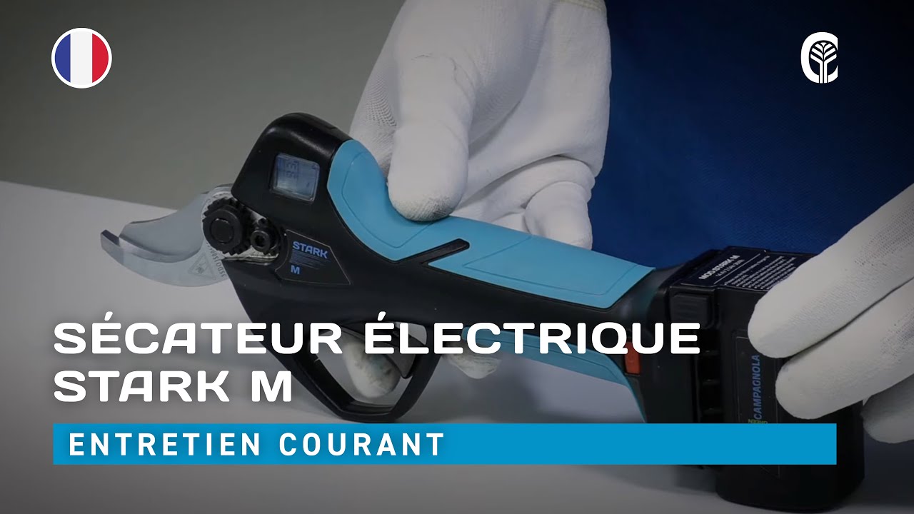 🇫🇷 Entretien courant: CAMPAGNOLA STARK M