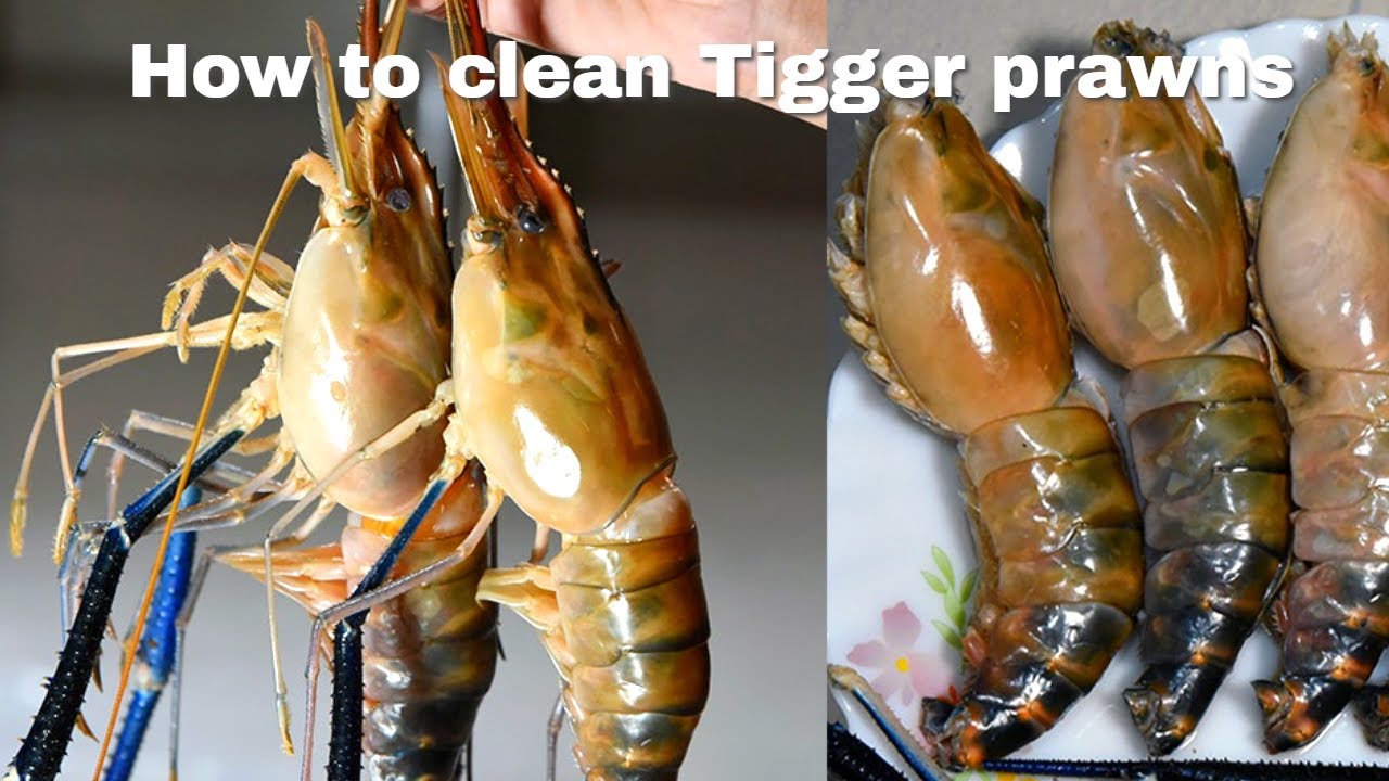 Cleaning Tiger prawns🍤[Shrimp] in 5 minutes | Easy Way To Clean Big Prawns | Jumbo Prawns Cleaning