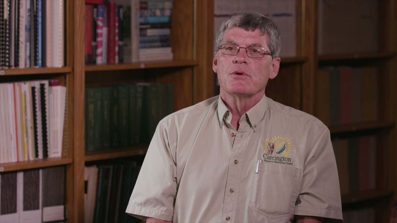 What's happening at the Carrington Research Extension Center?