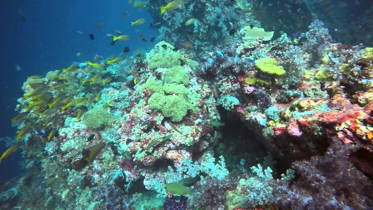 Scuba Jeff event Diving Koh Lanta March 2015