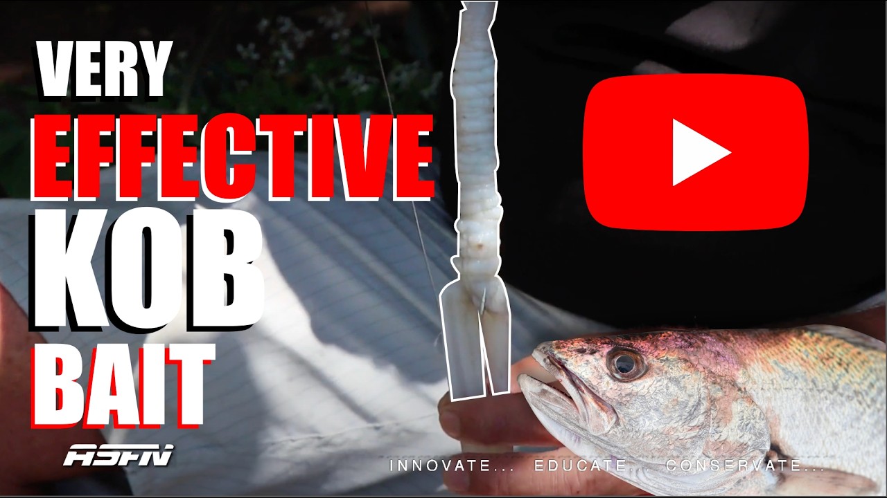 VERY EFFECTIVE KOB BAIT | Mulloway/Kabeljou Tips | ASFN Baits & Traces
