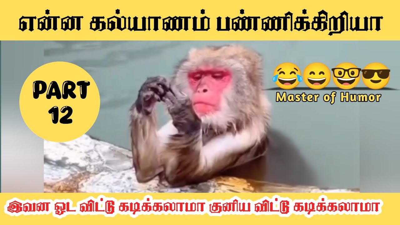Part - 12 || இவன்கிட்ட பேசினா தலை வலிக்குதுடா 😂 #@Master of Humor (MH)