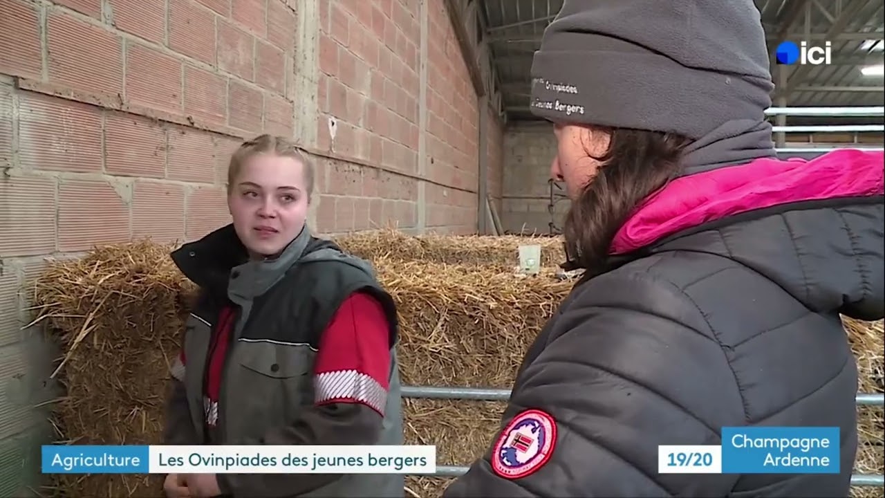 Les Ovinpiades au lycée agricole de Rethel : quand la passion ovin devient vocation