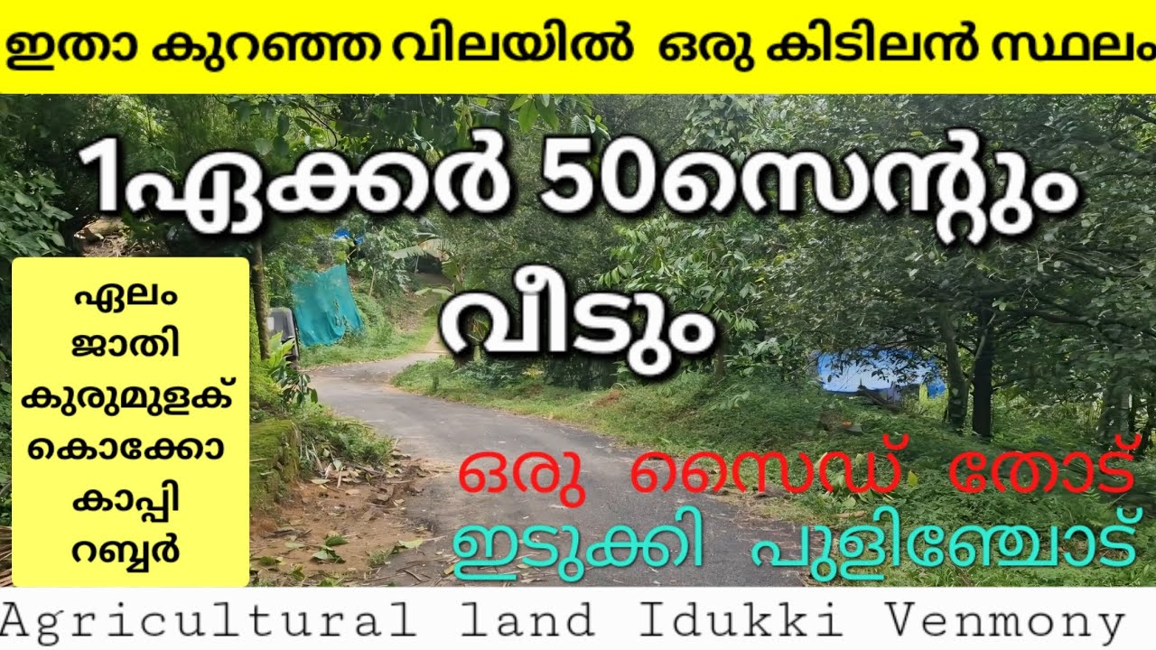 കുറഞ്ഞ വിലയ്ക്ക് 1ഏക്കർ 50സെന്റും വീടും. ഒരു സൈഡ് തോട്. ജാതി ഏലം കുരുമുളക് കൊക്കോ തെങ്ങ് റബ്ബർ 👇👇👇