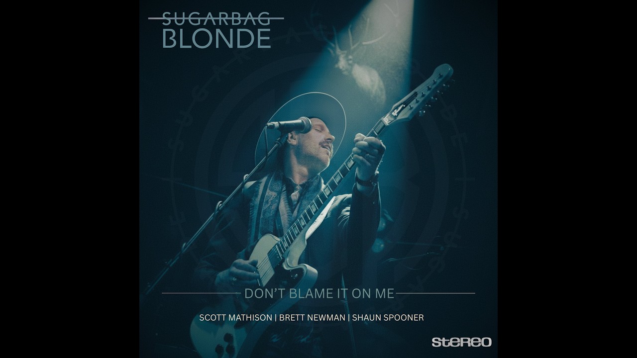 Don't Blame It On Me - Single