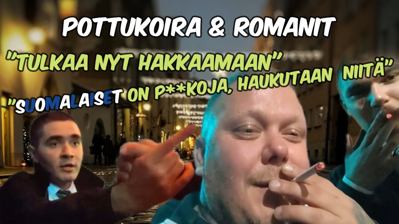 POTTUKOIRA & ROMANIT: Juhannus jatkuu #pottukoira #rappiotube