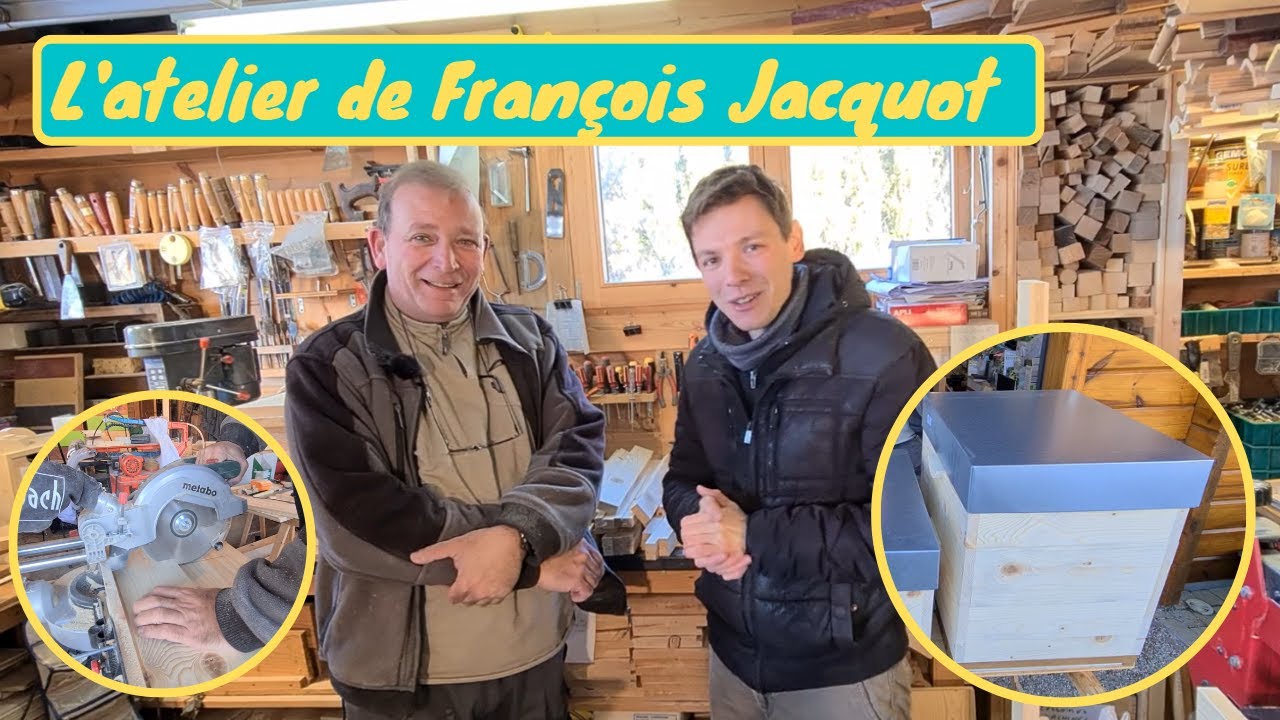 UNE SOLUTION POUR VALORISER LE BOIS SCOLYT&Eacute; : la fabrication de ruches en circuit court