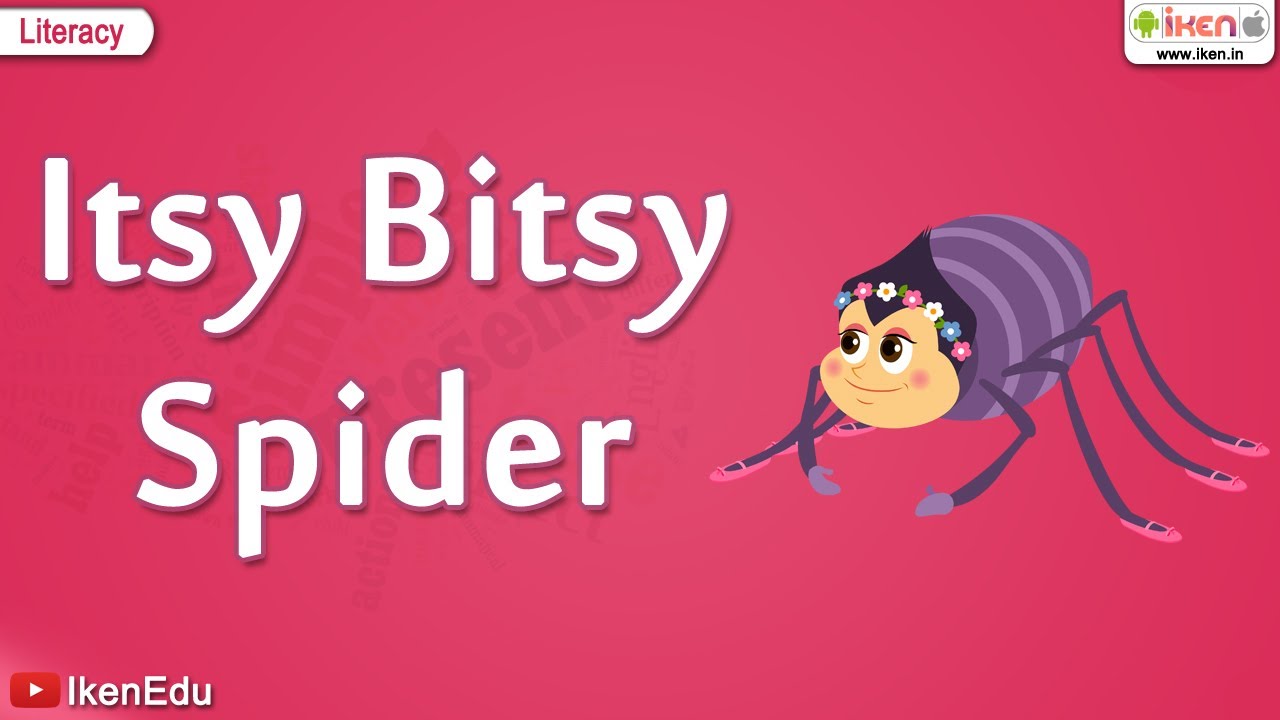 Itsy Bitsy Spider | English Nursery Rhymes Songs | iKen | iKen Edu