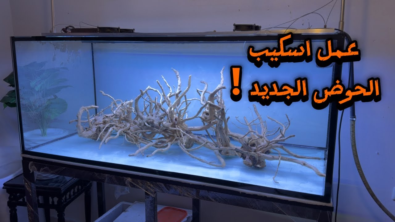 عمل اسكيب الحوض الجديد مع يوسف وحيد S6E84
