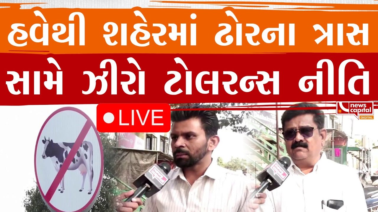 Live : હવેથી શહેરમાં ઢોરના ત્રાસ સામે ઝીરો ટોલરન્સ નીતિ