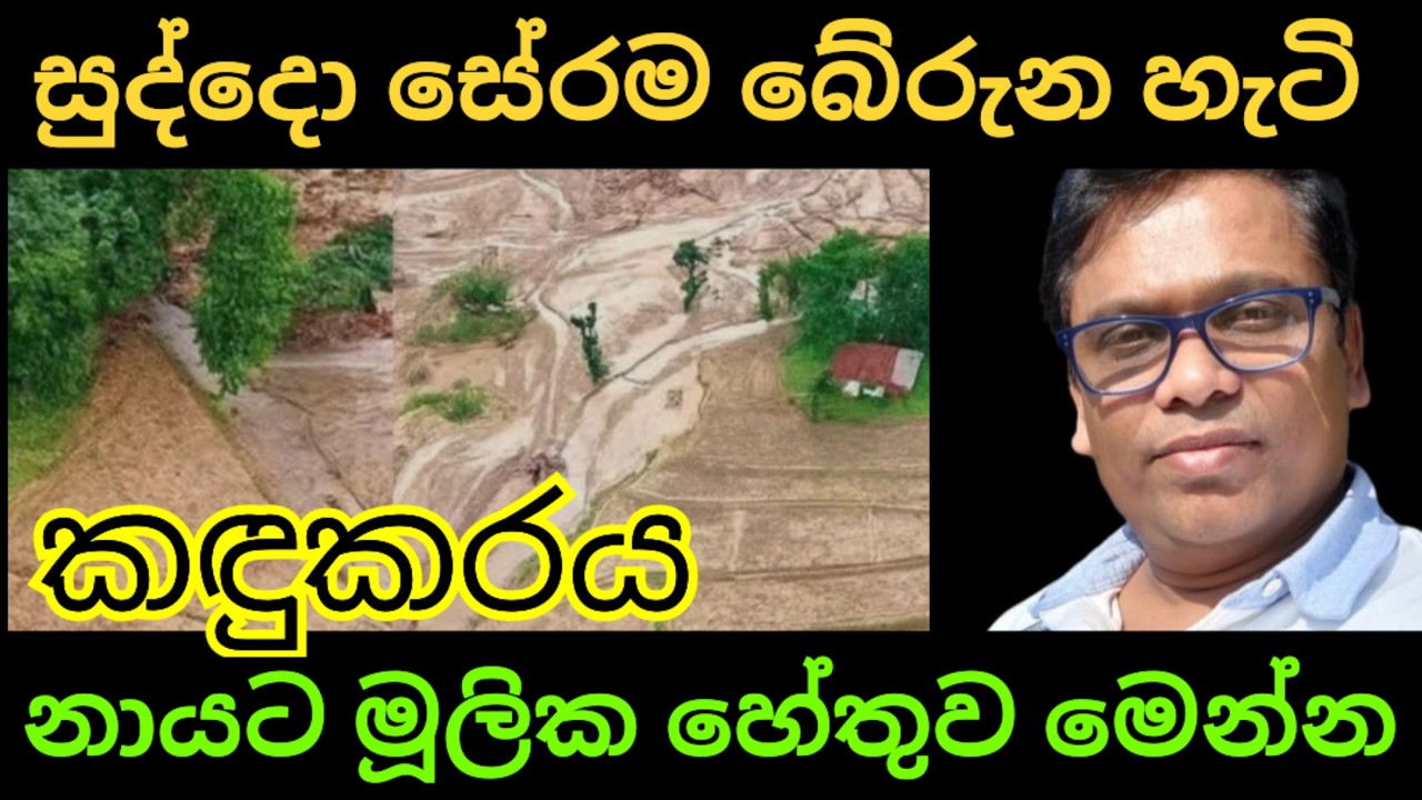 සුද්දො බේරුනේ කොහොමද සහ නායට මූලික හේතුව