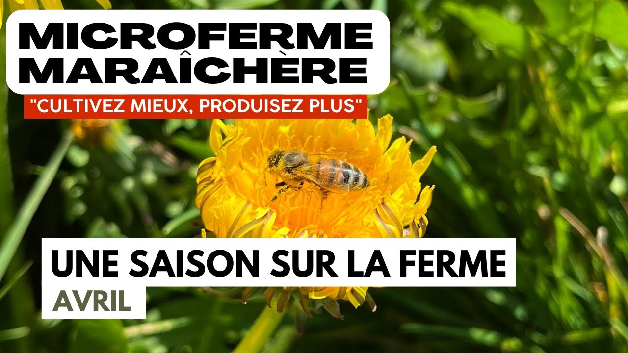 Une saison sur une microferme maraîchère : Avril