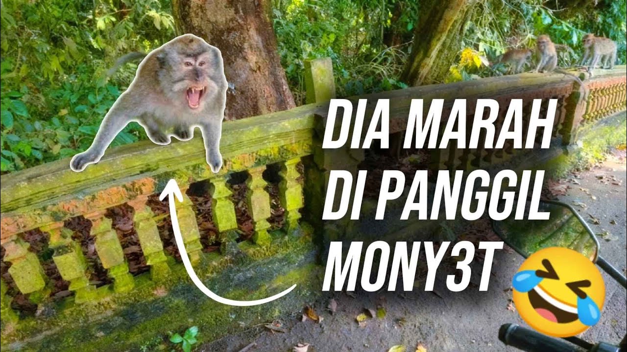 MAIN KE KAMPUNG MONY3T