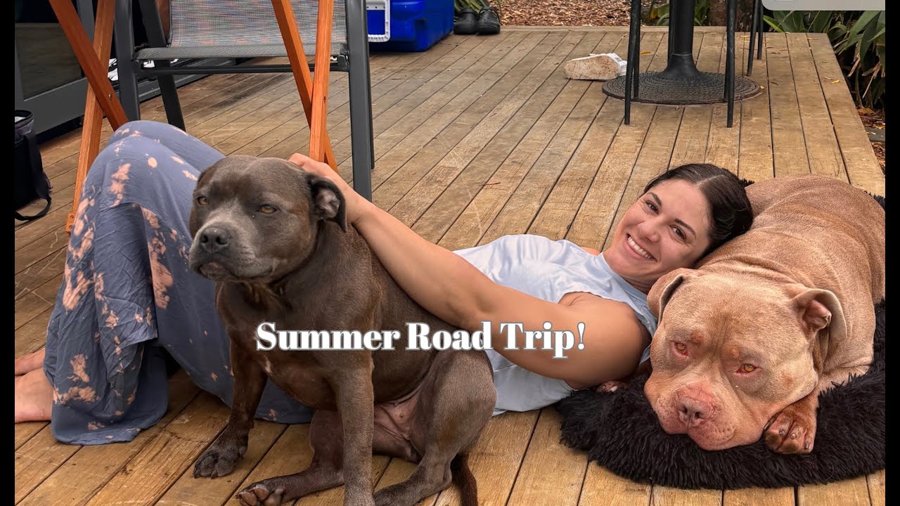 Summer Road Trip - Dog Friendly Cabin New Zealand