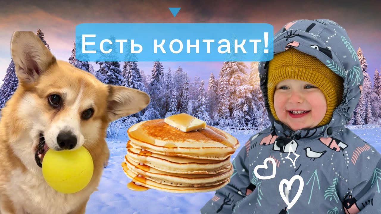 ЧТО ЭТО ❓как Ваня кормит Сэдди и играют ⚽️ новые привычки