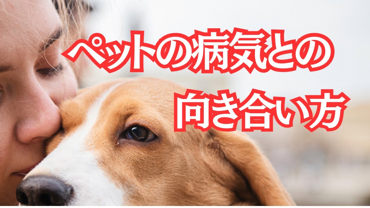 【ペットの病気】心が張り裂けそうな時❤️‍🩹知ってほしいことがある❤️‍🩹　