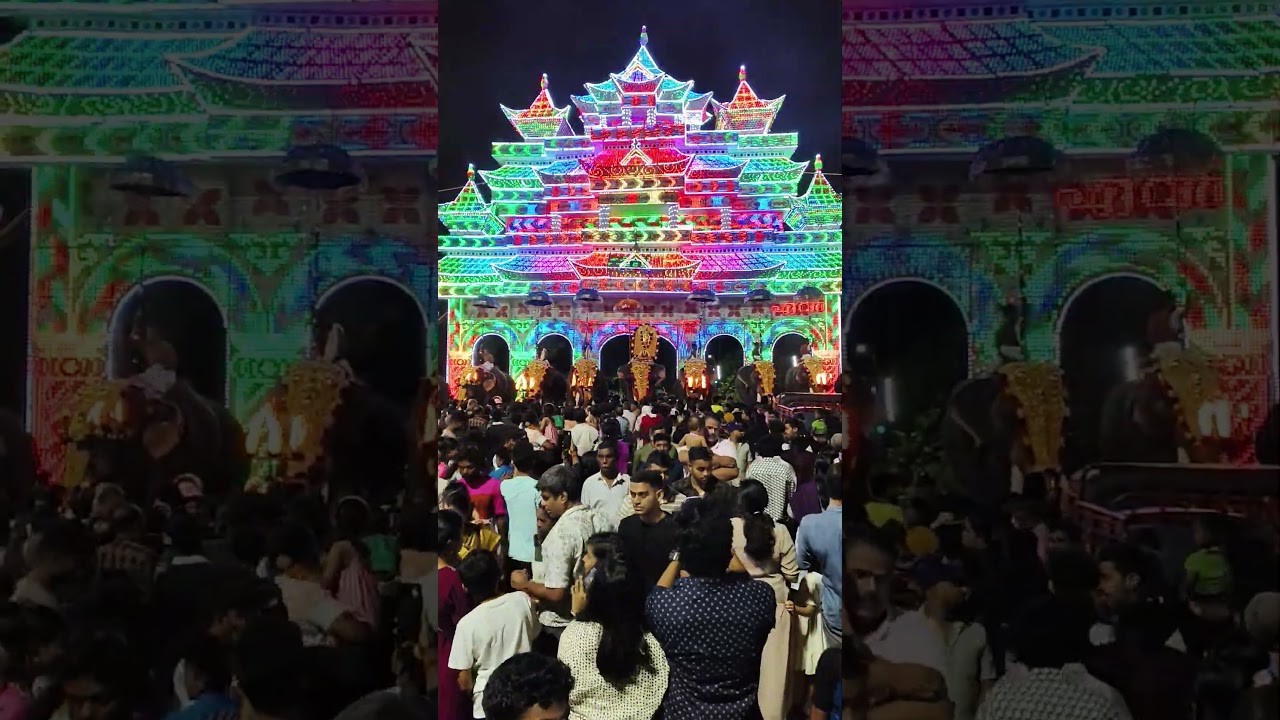 Thrikkakara uthsavam #ashwathyashmakeupartist #uthsavam #temple #elephant #happy #traditional #onam