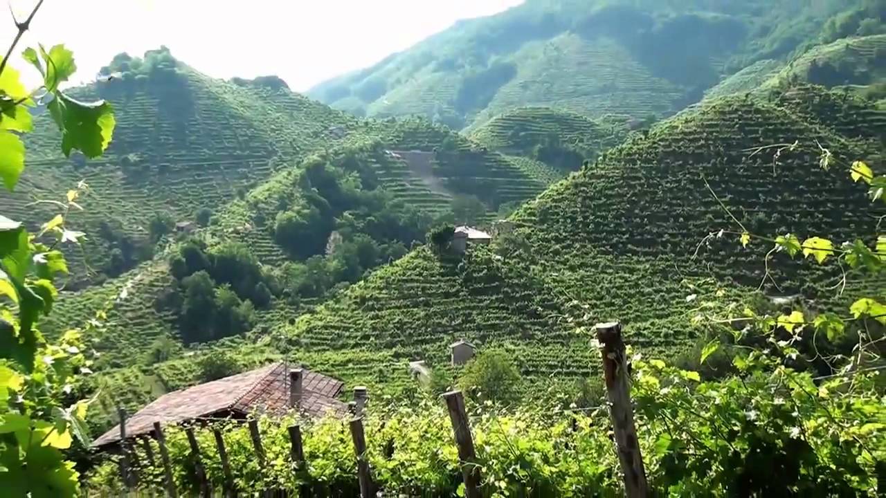 Valdobbiadene - Tra le colline del Prosecco