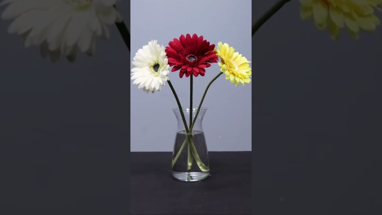 Encapso-K Tutorial: Create an Amazing Encapsulated Flower Display