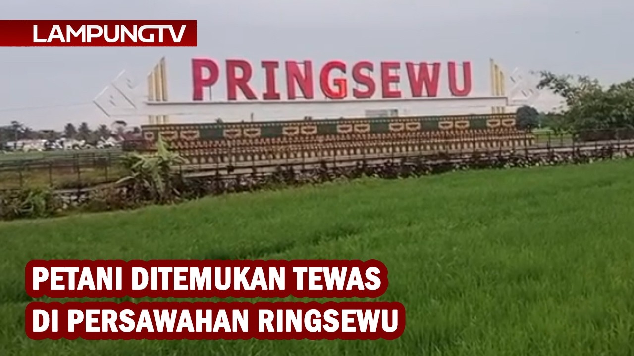 Petani Ditemukan Tewas di Persawahan Pringsewu