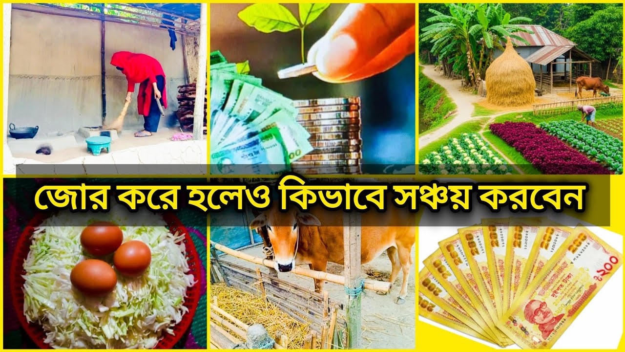💸💰টাকা থাকেই না? জোর করে হলেও সঞ্চয় করার এই কৌশল জানুন👉money saving tips 😱✅