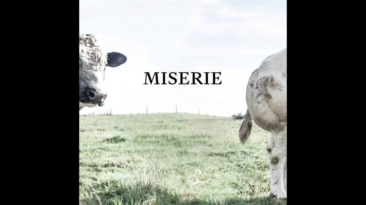 PREUTELEUTE - MISERIE (LYRICS VIDEO)