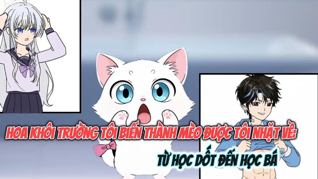 Hoa khôi trường tôi biến thành mèo được tôi nhặt về: Từ học dốt đến học bá