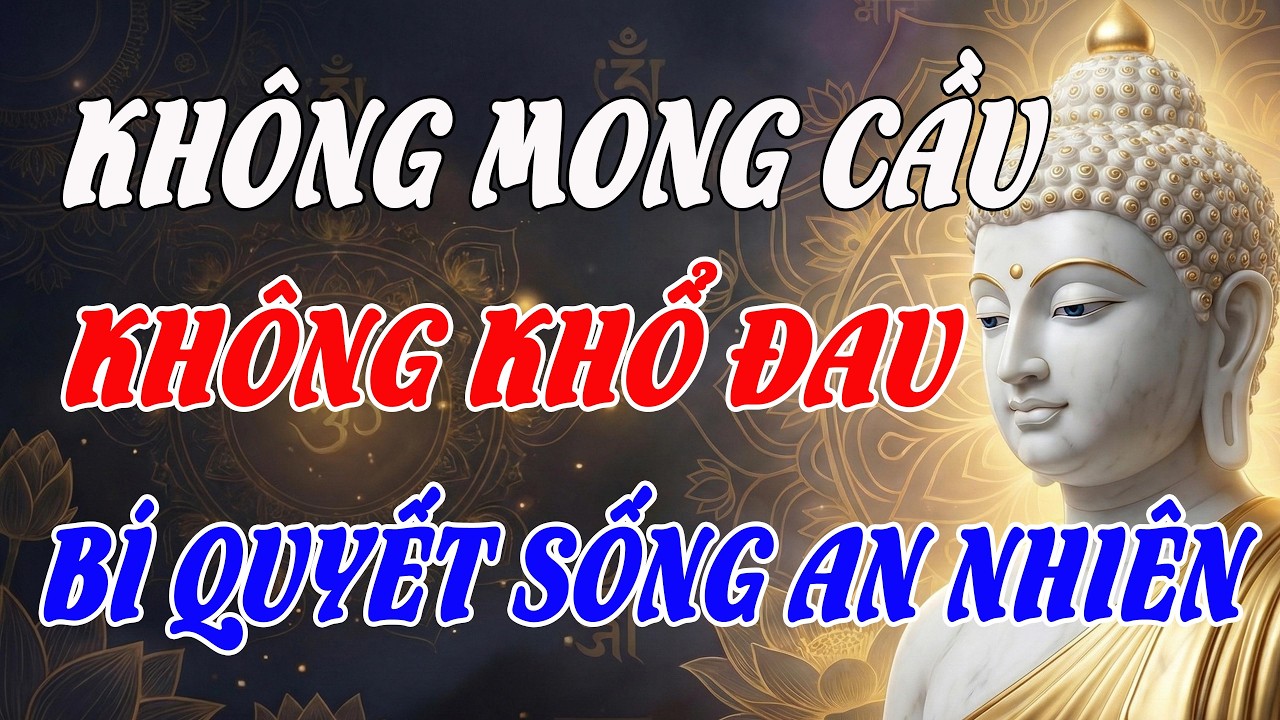 Hết Mong Cầu, Đời Tự Khắc An Vui – Chìa Khóa Thoát Khỏi Mọi Nỗi Khổ Niềm Đau