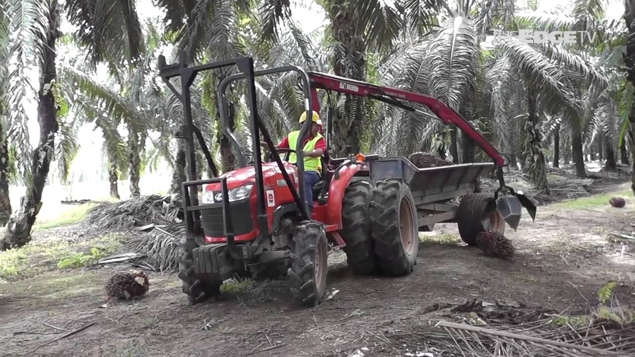 SIME DARBY PLANTATION FORESEES CPO PRICES HIT US$700 PER TONNE