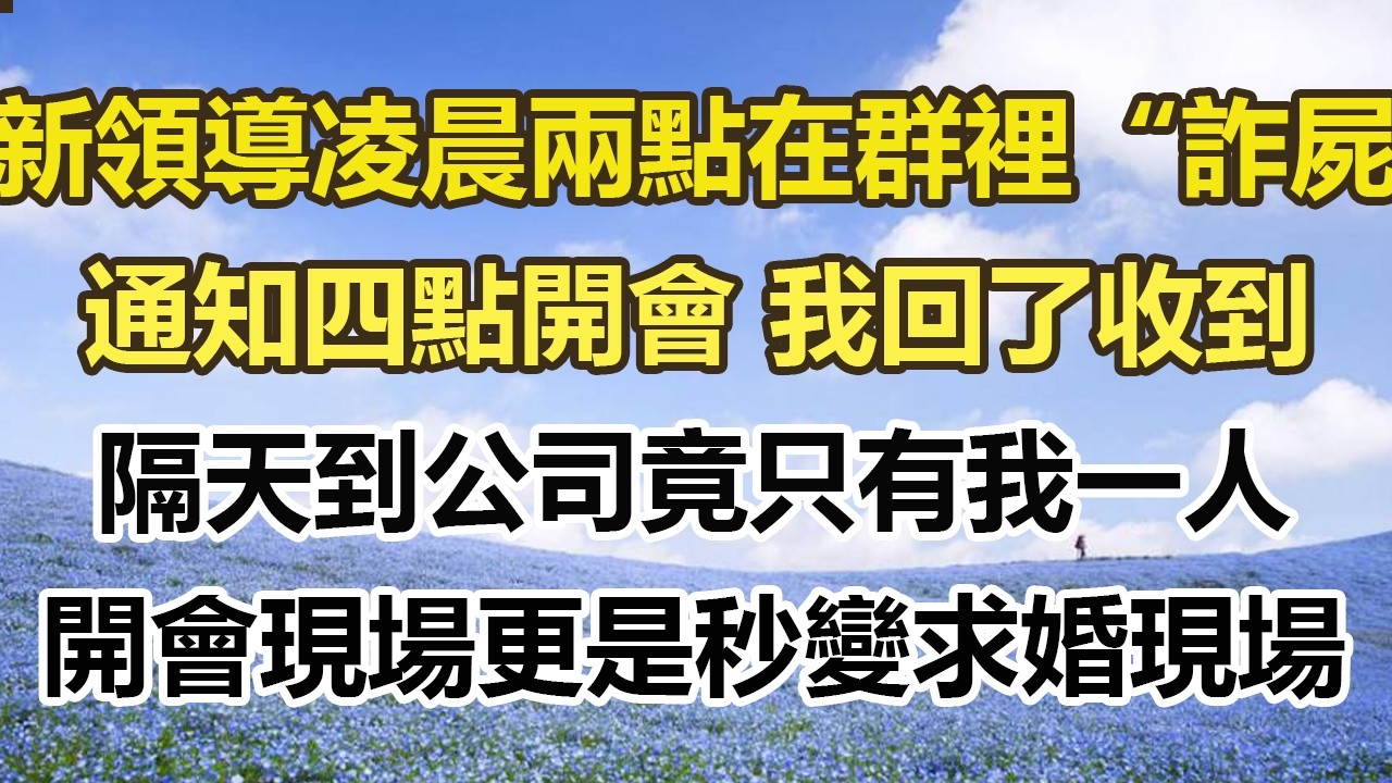 新領導凌晨兩點在群組裡“詐屍”，通知四點開會 我回了收到，隔天到公司竟只有我一人，開會現場更是秒變求婚現場#幸福敲門 #為人處世 #生活經驗 #情感故事