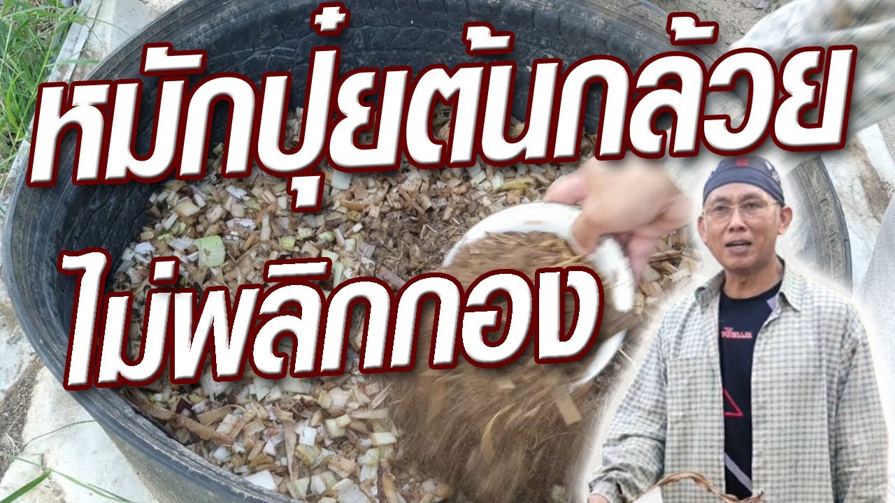 ปุ๋ยหมักกาบกล้วย ต้นกล้วย ในวงบ่อ@krusawat