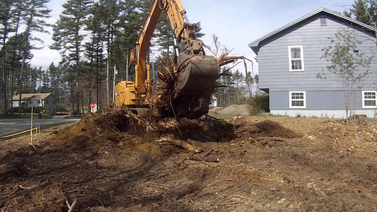 Case CX135 SR Removing 2 Big Stumps