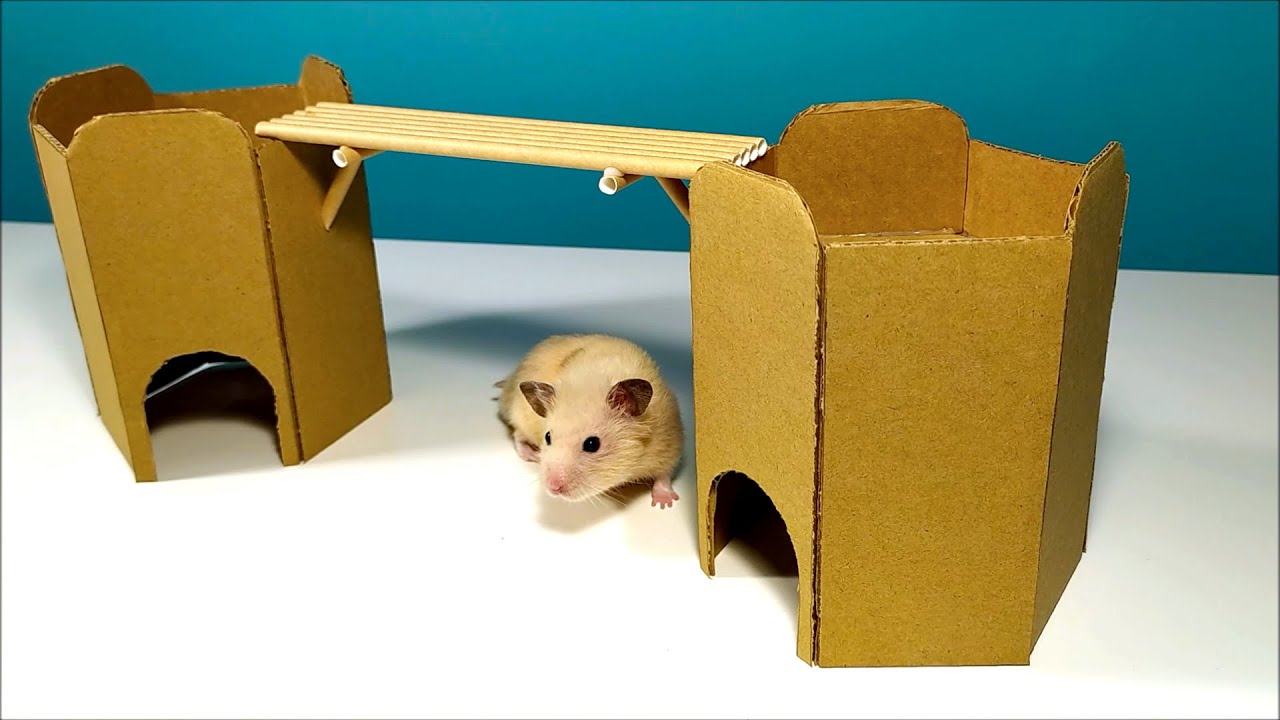 Cómo Hacer un CASTILLO DE CARTÓN | Casitas Para Hámster Caseras