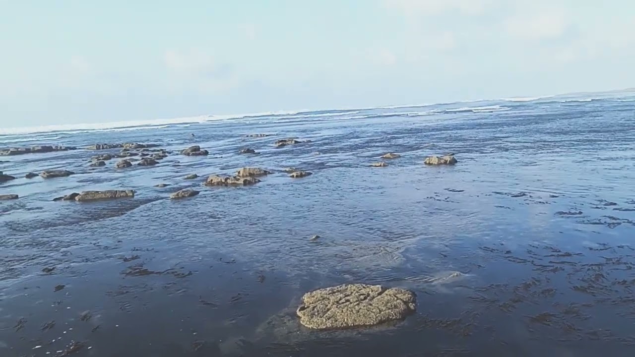 الوقت الذي تنشط فيه حركة الأسماك (همز البحر)
