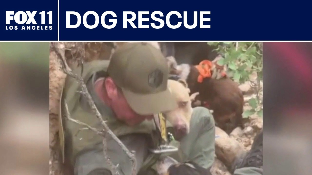 FOX 11's Tony Buttittia dog rescue in Santa Clarita
