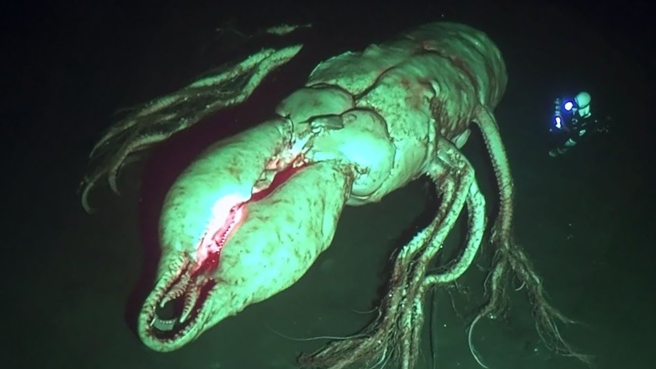 15 Terrifying Sea Creatures Scientists Fear to Study