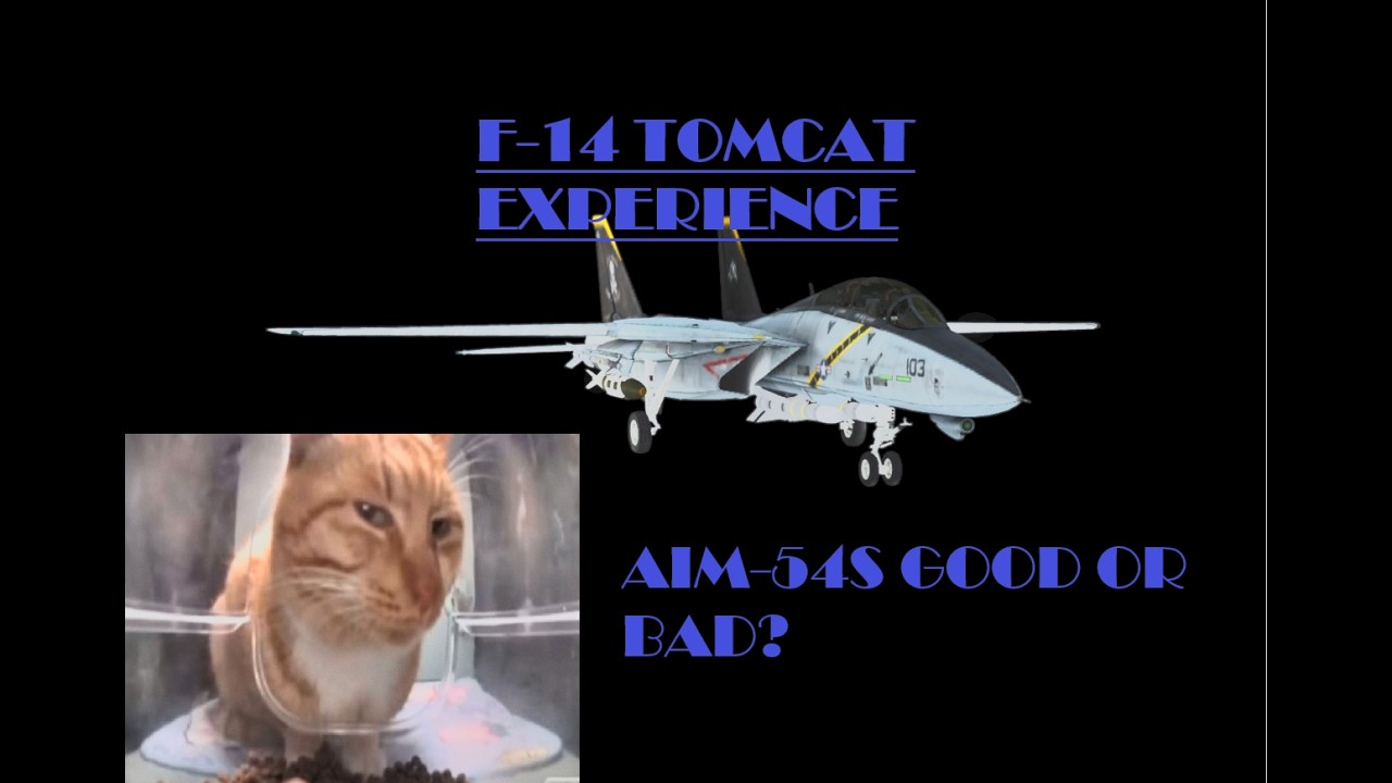 F-14 Experience (Aircraft Carrier Roblox) #roblox #fighterjets #aircraftcarrier